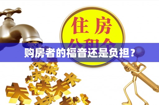 井冈山购房者的福音还是负担？