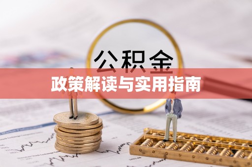 井冈山政策解读与实用指南