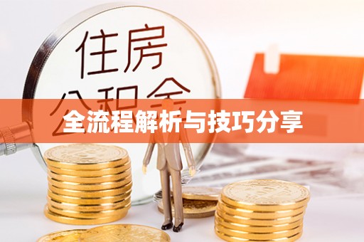 井冈山全流程解析与技巧分享